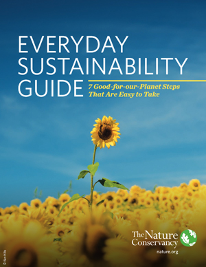 tnc everyday sustainability guide